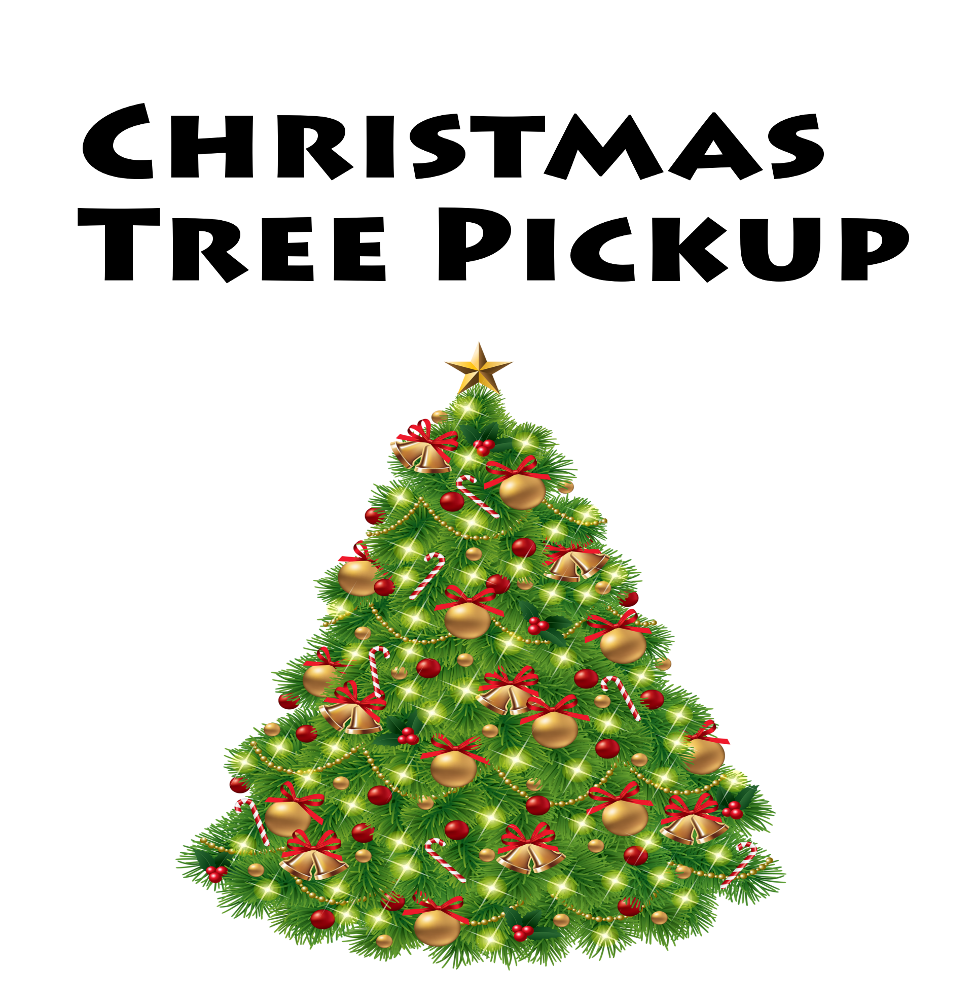 Christmas Tree Pickup