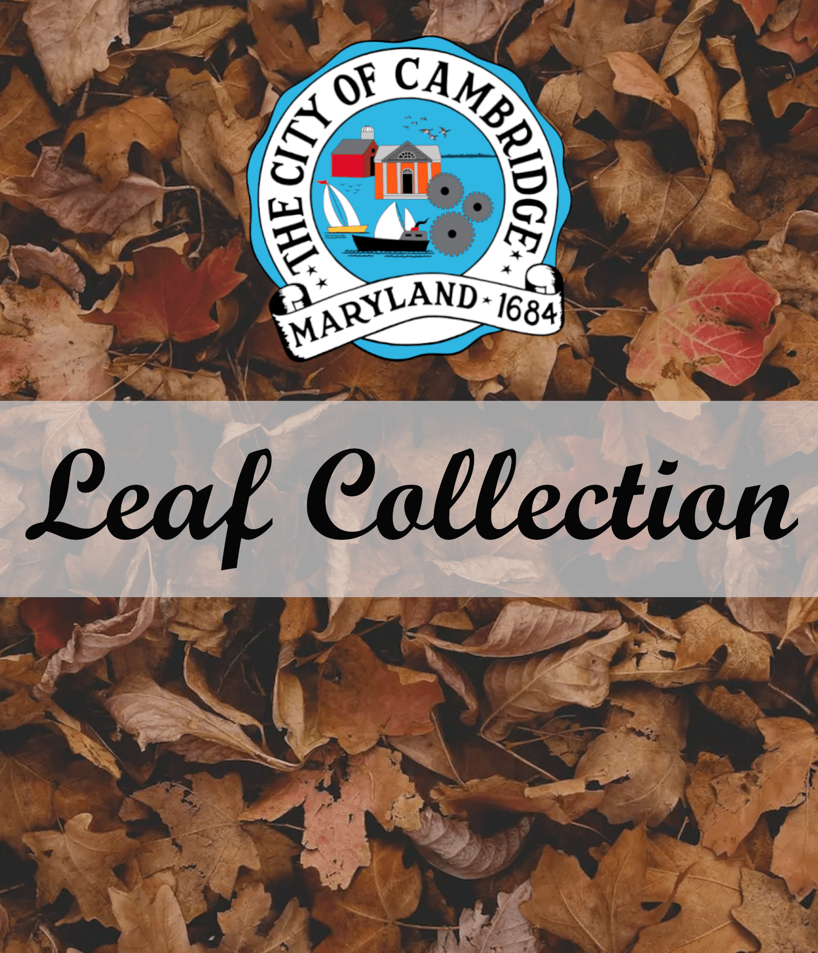 Leaf Collection