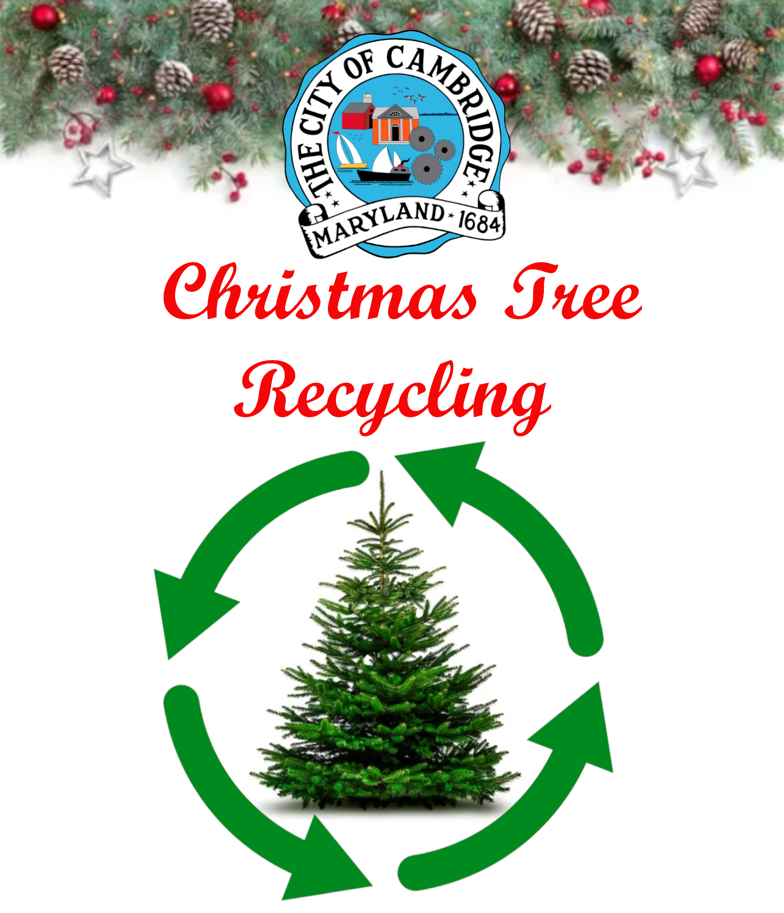 Christmas Tree Recycling