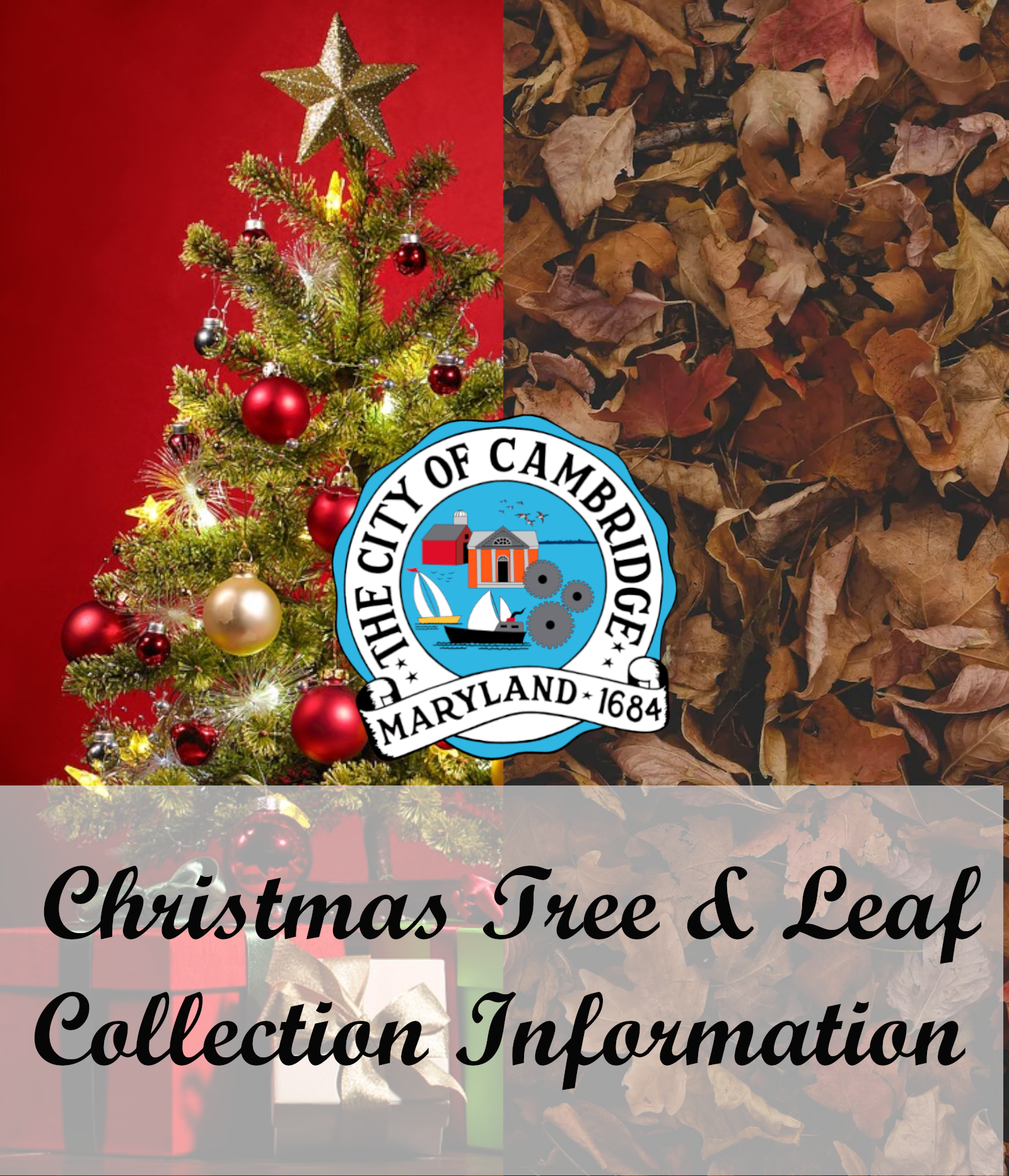 Christmas Tree Recycling