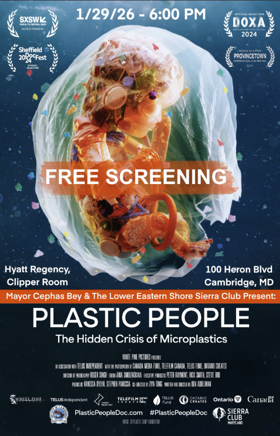 Screenshot 2026-01-20 133718